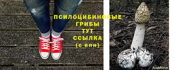 мяу мяу мука Горнозаводск