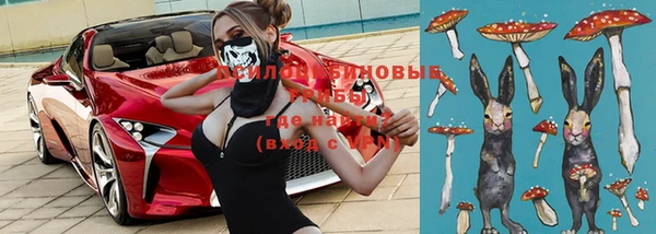 винт Горняк